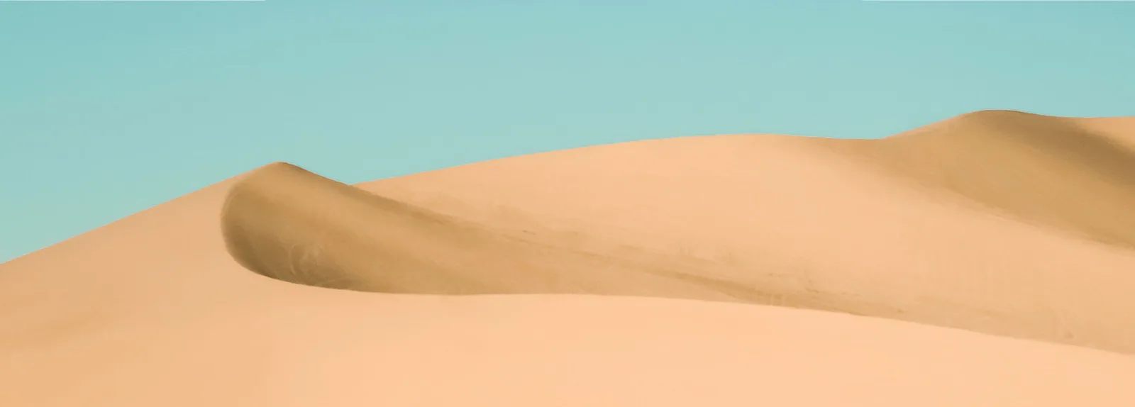 Salmon-sand-website_bg_3.jpg