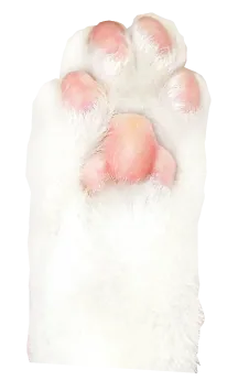 Salmon-sand-websitecat-paw.png