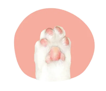 Salmon-sand-websitecat-paw_2.png