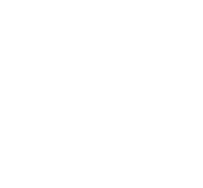 Salmon-sand-website_text_1.png