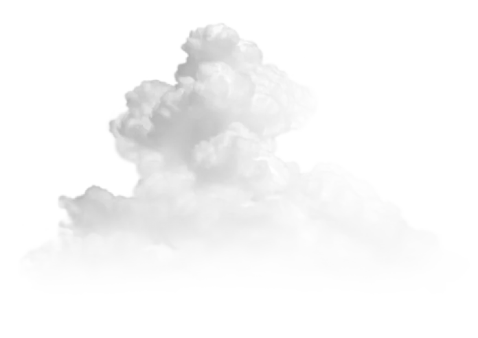Salmon-sand-website_cloud.png