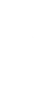 Salmon-sand-website_text-japan_2.png