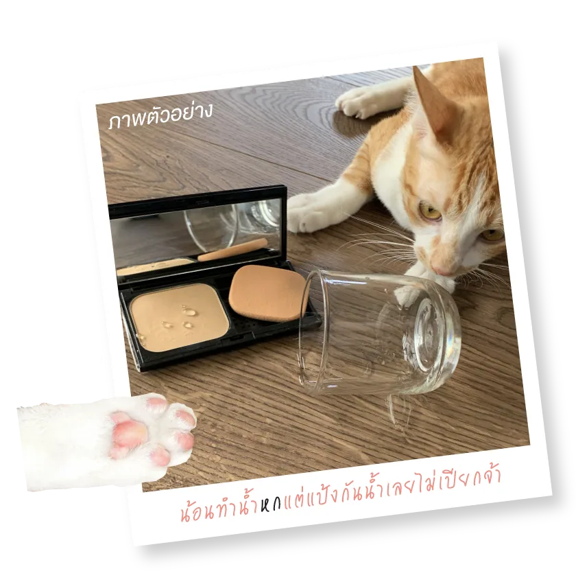 Salmon-sand-website_6.6-photo.png